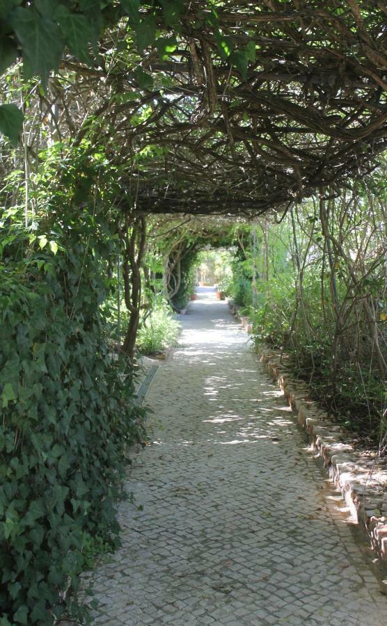 Canavial Garden (Adults Only) Lagos Buitenkant foto
